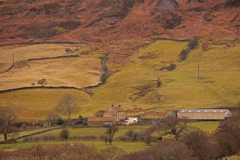 Farm in the Valley 
 North Yorkshire, 2015