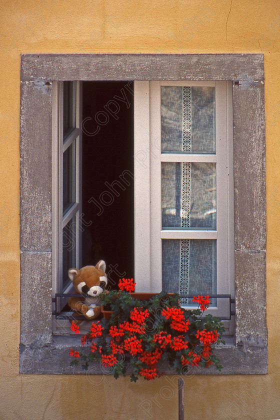 Fox on Guard 
 Clusone, Italy 2005