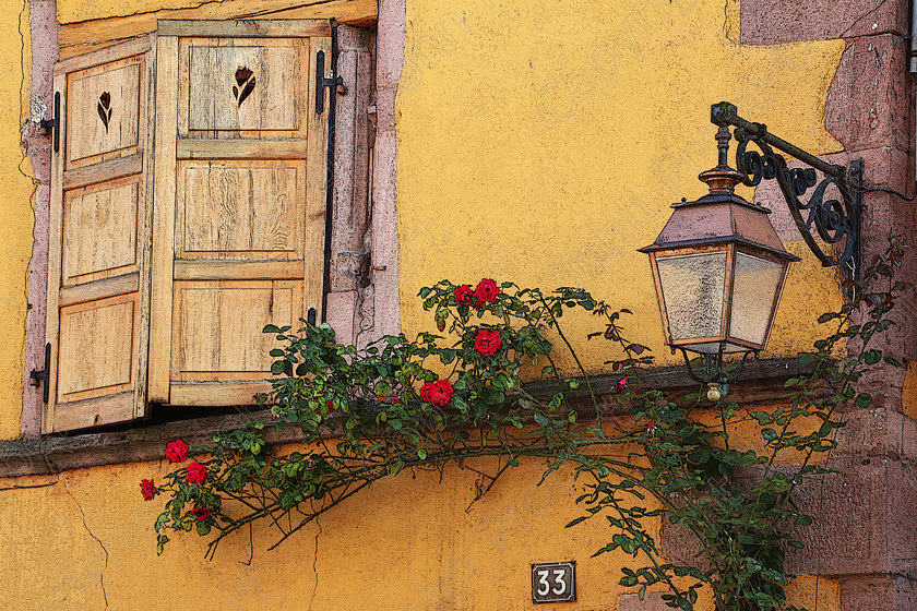 Roses under the Shutters 
 Riquewihr, Alsace, France 2014