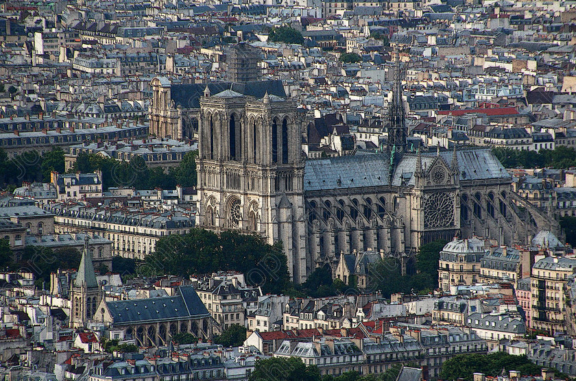 Paris View Notre Dame 
 Paris, France 2014