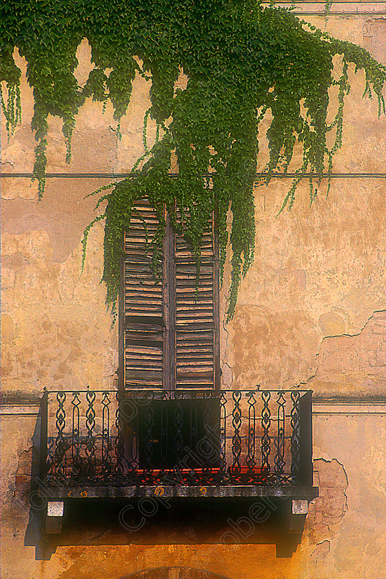 Window Creeper 2 
 Fontanellato, Italy 2002