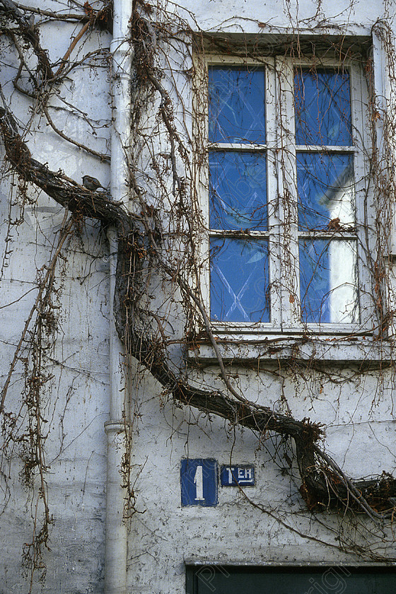 Window Creeper 1 
 Paris, France 1996
