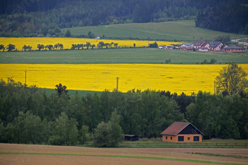 Yellow Fields 
 South Moravia, Czech Republic 2015