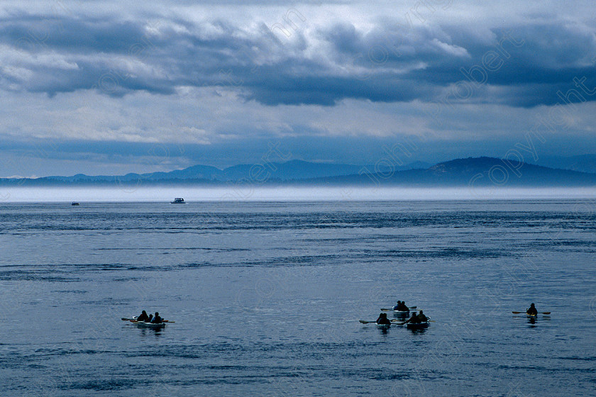 Whale Watchers 
 San Juan Islands, Washington State, USA 2005