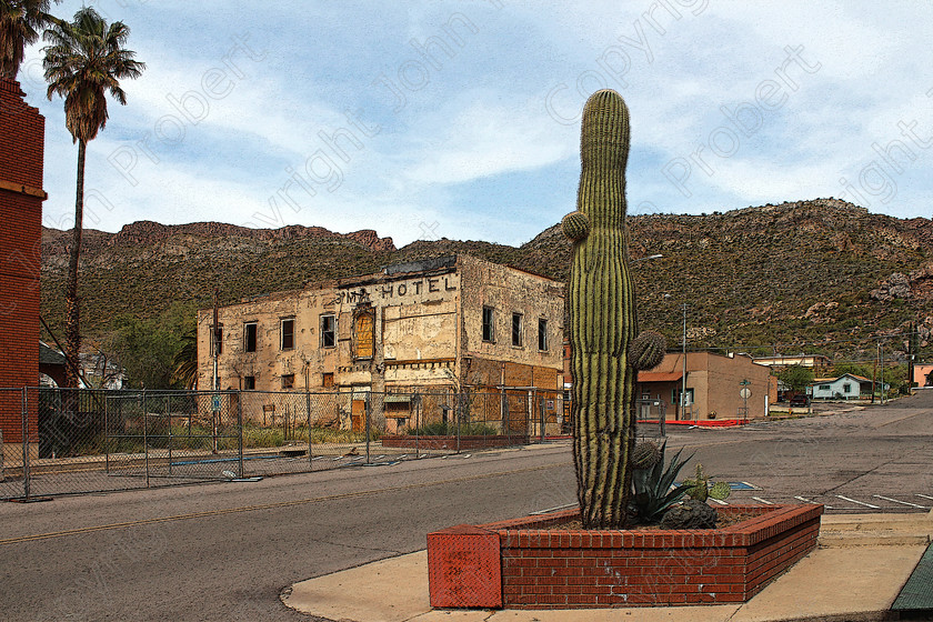 Cactus Town 
 Superior, Arizona, USA 2013